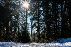 fpc434 Schwarzwald