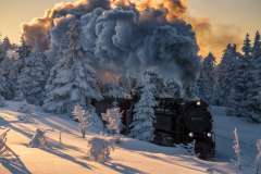 29_Brockenbahn-im-SchneeDSC4275_export-Kopie