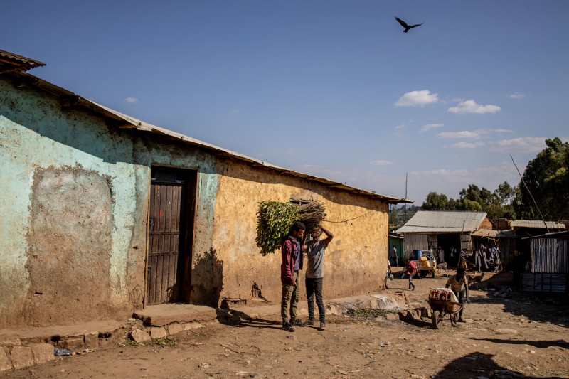 Daniel Etter: A man inspects another man's chat (Catha edulis) load in the older part of Awaday, Ethiopia, Nov. 1, 2019. Awaday is the hub of the Ethiopian chat trade. All internal and external trade of the drug from the surrounding growing region of Harar goes through here. While chat for internal consumption is handled in the new part of Awaday, chat for export to Somalia is handled in the older part of town. The drug is widely consumed on the Horn of Africa and the Arabian Peninsula, especially Yemen. Depending on region it is known, amongst many other names, as khat, gat, qat, khat or jimaa.