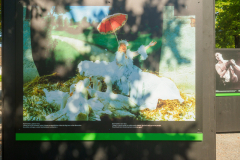 oye23_doku_ausstellung_esther_haase_9102087