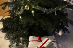 fpc391_Weihnachtwichteln-2023_vorher-05