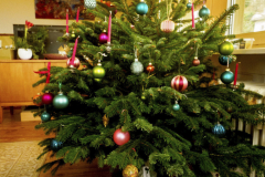 fpc391_Weihnachtwichteln-2023_vorher-12