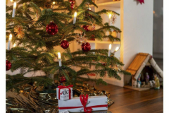 fpc391_Weihnachtwichteln-2023_vorher-15