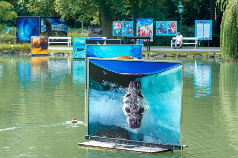 Ausstellung auf dem See