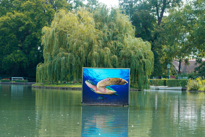 Ausstellung auf dem See