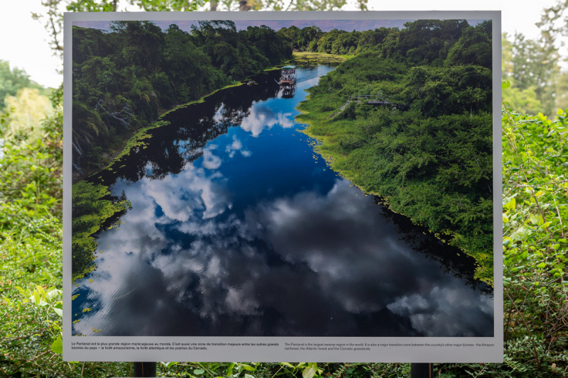 Ausstellung Brent Stirton, Baden 2024