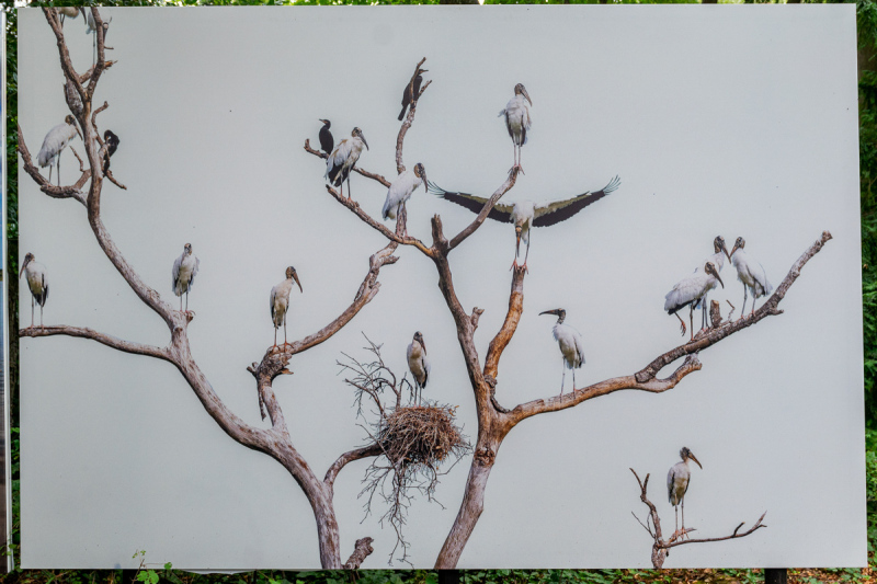 Ausstellung Brent Stirton, Baden 2024