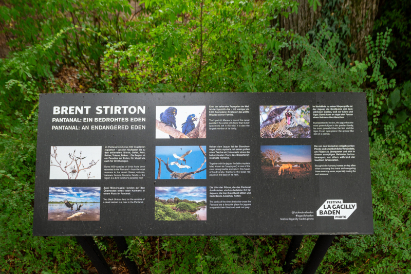 Ausstellung Brent Stirton, Baden 2024