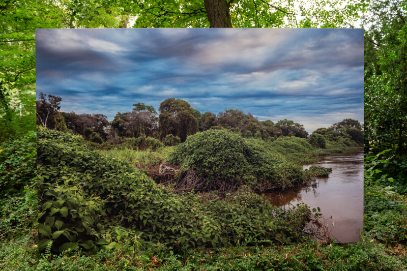 Ausstellung Brent Stirton, Baden 2024