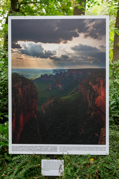 Ausstellung Brent Stirton, Baden 2024