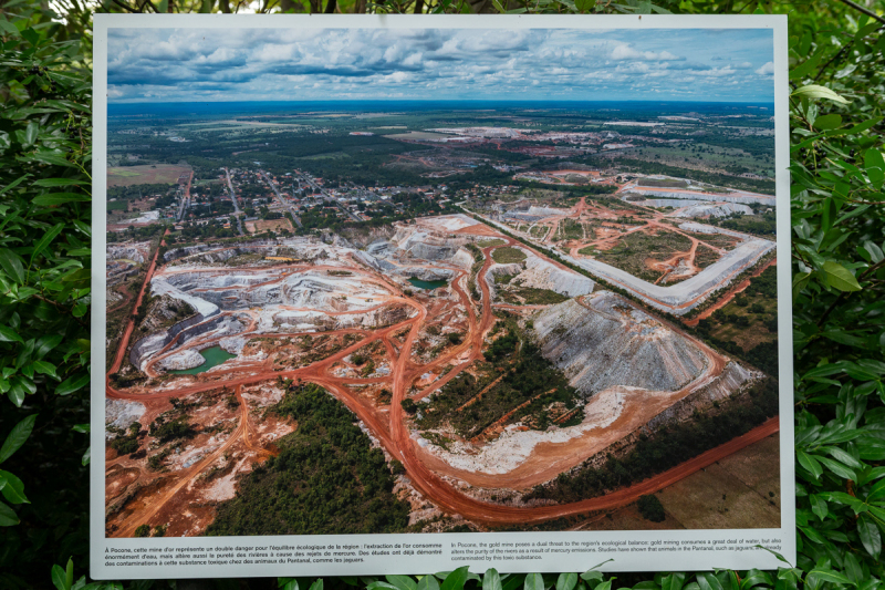 Ausstellung Brent Stirton, Baden 2024
