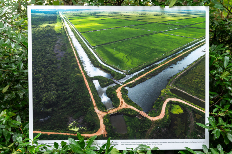 Ausstellung Brent Stirton, Baden 2024