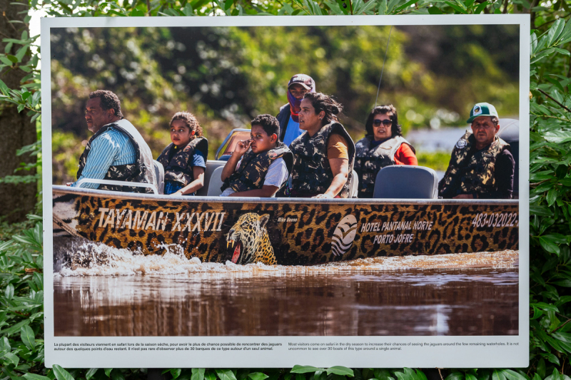 Ausstellung Brent Stirton, Baden 2024