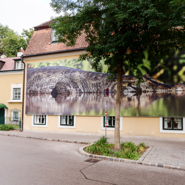 Ausstellung Brent Stirton, Baden 2024