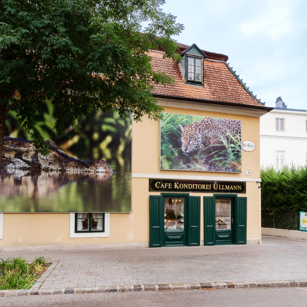 Ausstellung Brent Stirton, Baden 2024