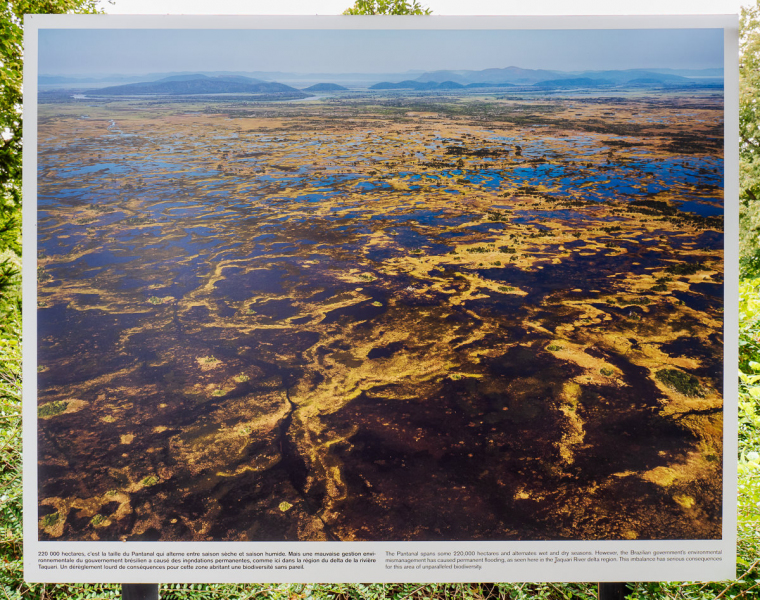 Ausstellung Brent Stirton, Baden 2024