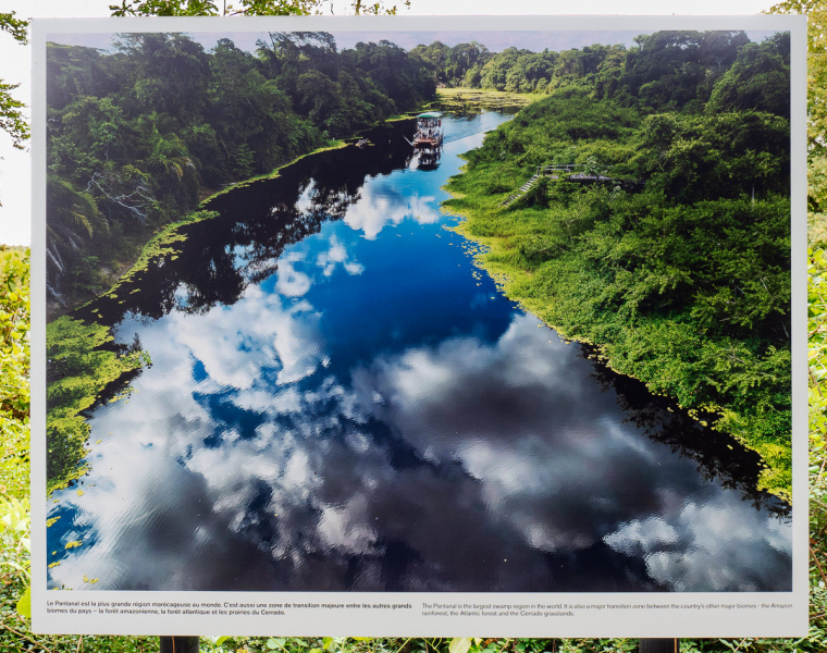 Ausstellung Brent Stirton, Baden 2024