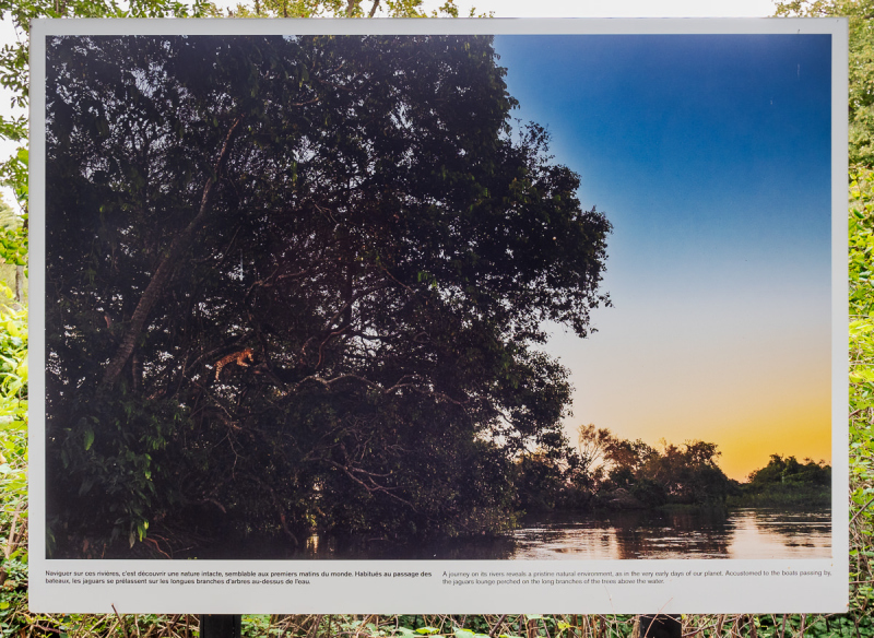 Ausstellung Brent Stirton, Baden 2024