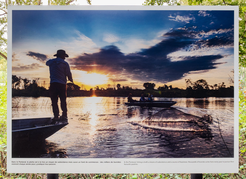 Ausstellung Brent Stirton, Baden 2024