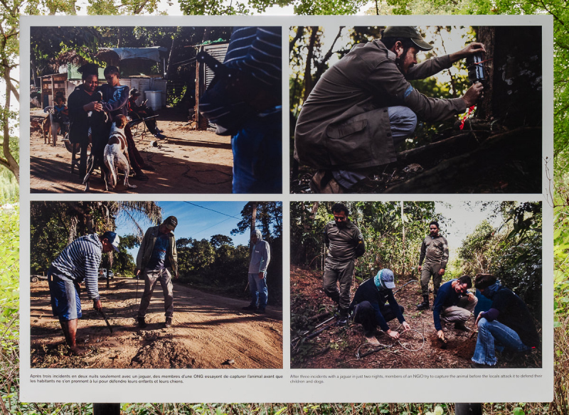 Ausstellung Brent Stirton, Baden 2024