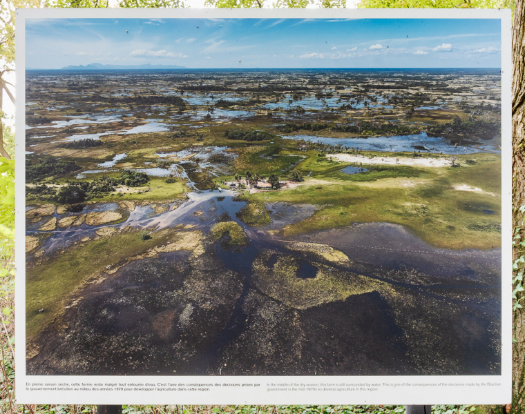 Ausstellung Brent Stirton, Baden 2024