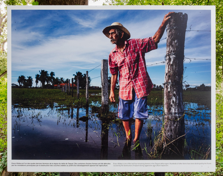 Ausstellung Brent Stirton, Baden 2024