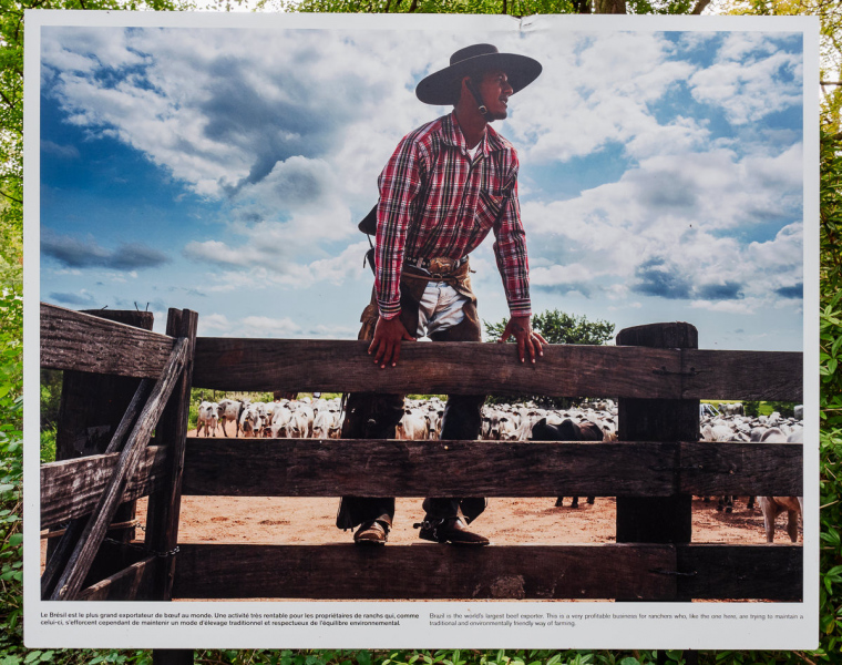 Ausstellung Brent Stirton, Baden 2024