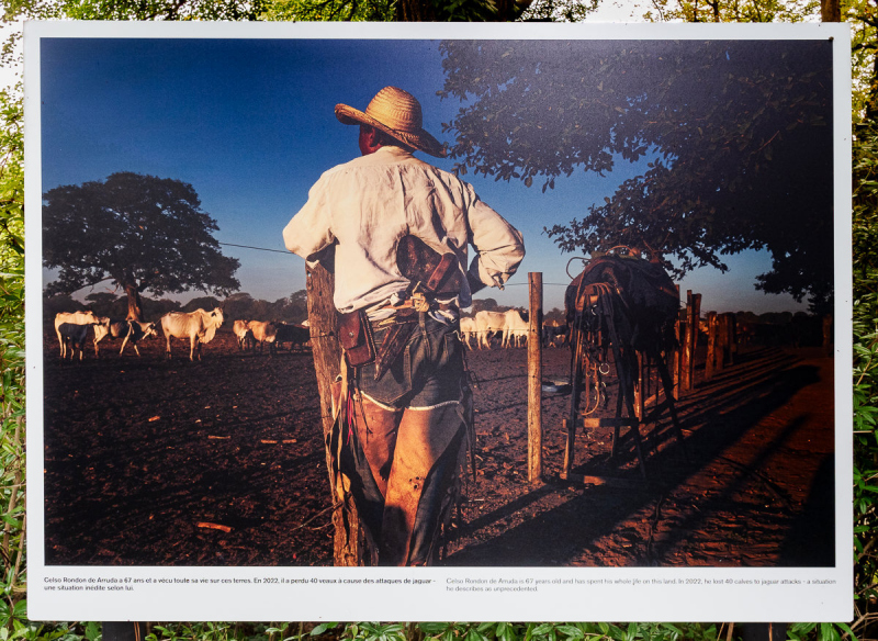 Ausstellung Brent Stirton, Baden 2024