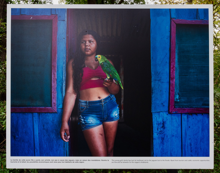 Ausstellung Brent Stirton, Baden 2024
