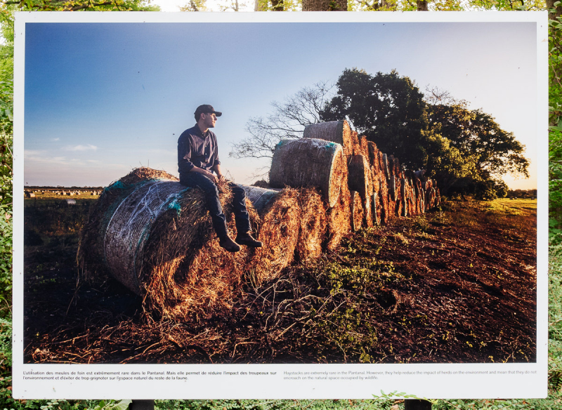 Ausstellung Brent Stirton, Baden 2024