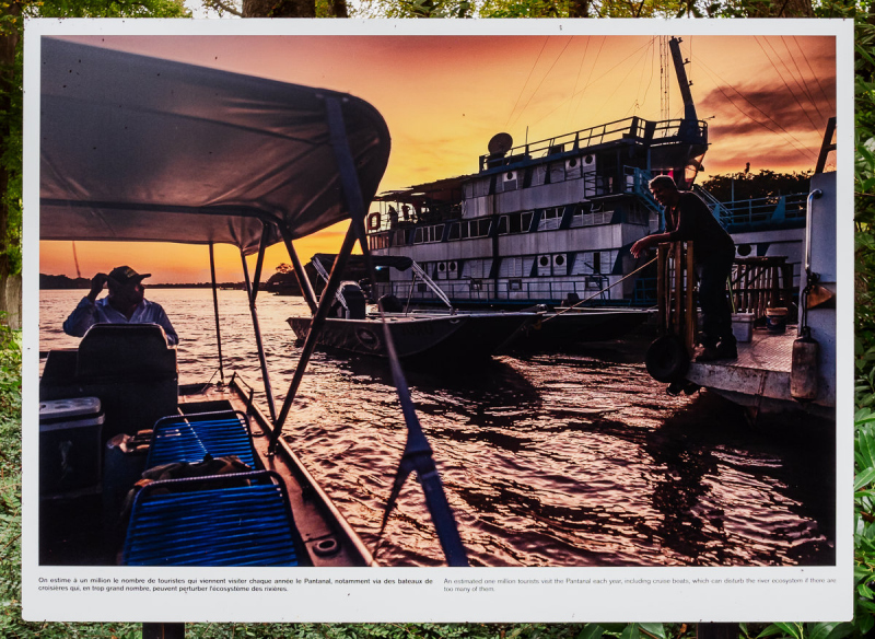 Ausstellung Brent Stirton, Baden 2024