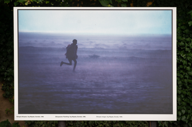 lgbp24_Ausstellung Peter Turnleyn