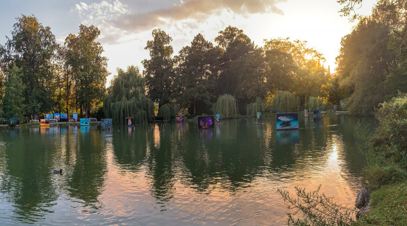 David Doubilet Ausstellung - Festival La Gacilly-Baden Photo 2024
