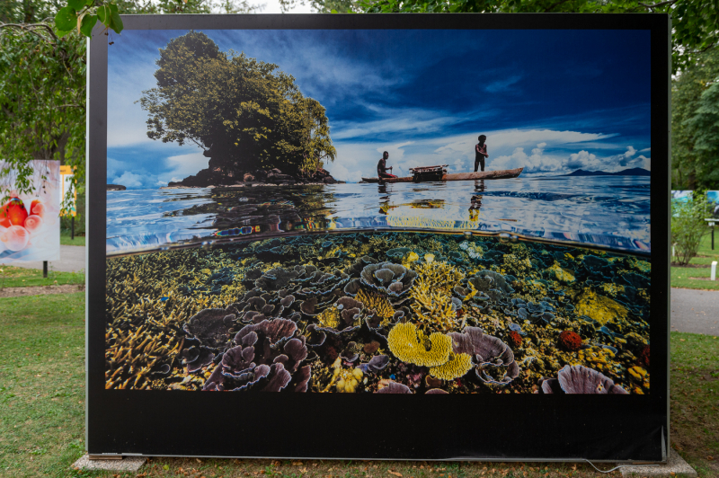 Ausstellungsdoku Hayes Doubilet