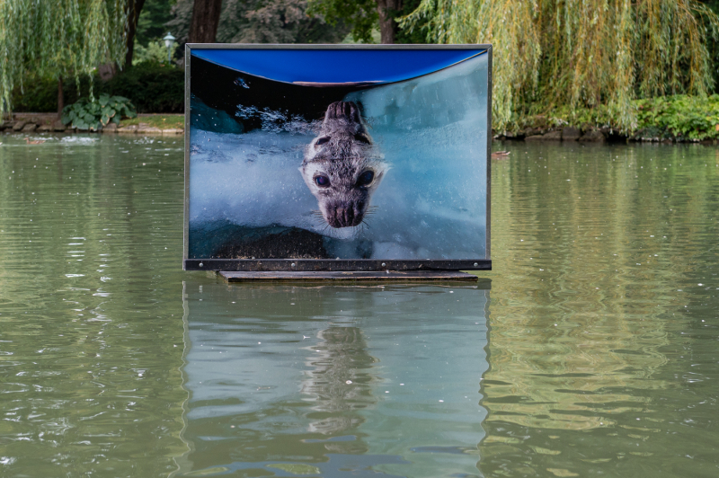 Ausstellungsdoku Hayes Doubilet