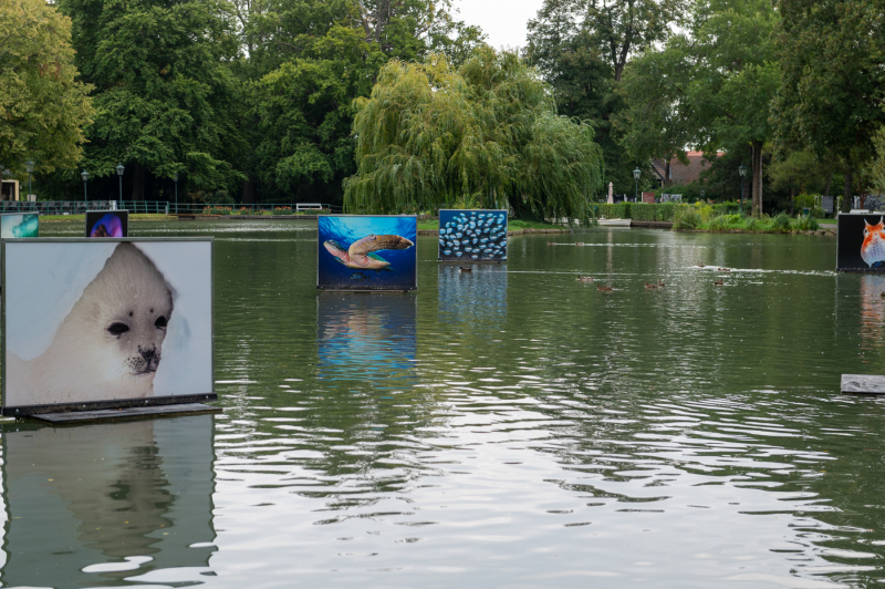 Ausstellungsdoku Hayes Doubilet