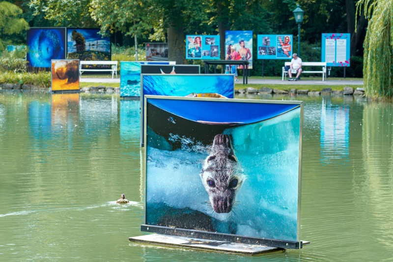 David Doubilet Ausstellung - Festival La Gacilly-Baden Photo 2024