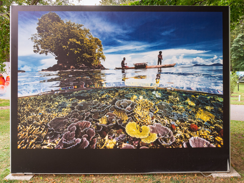 David Doubilet Ausstellung - Festival La Gacilly-Baden Photo 2024