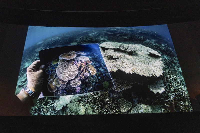 Jennifer_und_David_Long Night opal reef timelaps