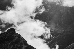 Ausbeute aus dem Workshop Naturfotografie Fellhorn/Schappoldsee