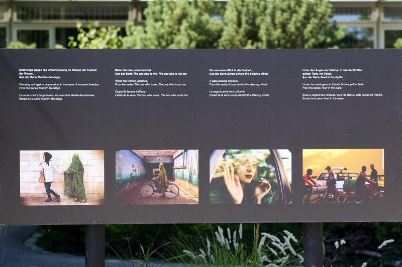 Teilübersicht der Ausstellungsbilder