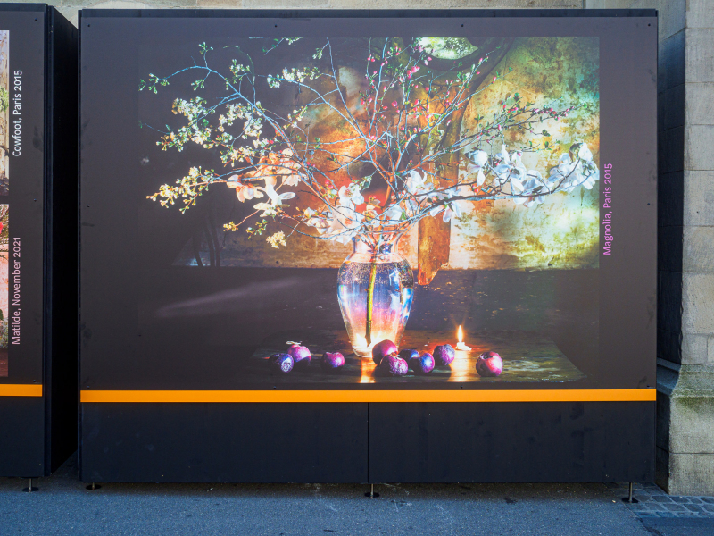 oye23_doku_ausstellung_vera_mercer_9102193