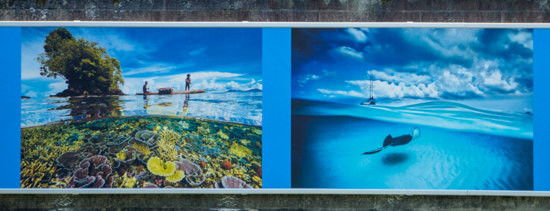 oye23_doku_ausstellung_david_doubilet_9102519