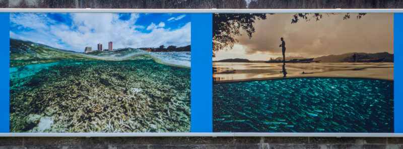 oye23_doku_ausstellung_david_doubilet_9102528