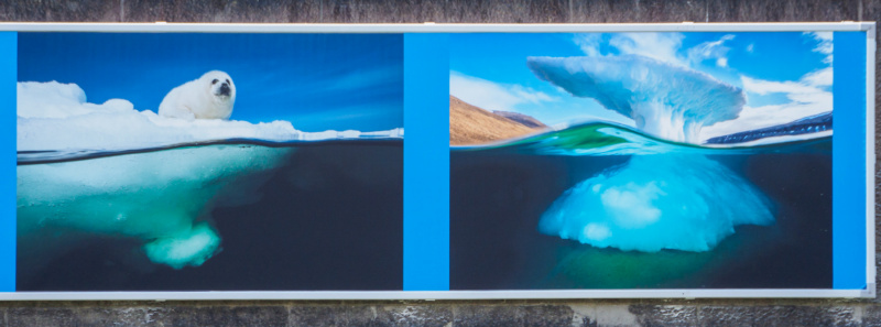 oye23_doku_ausstellung_david_doubilet_9102537