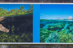 oye23_doku_ausstellung_david_doubilet_9102526