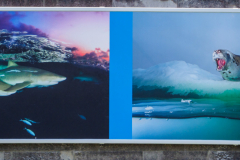 oye23_doku_ausstellung_david_doubilet_9102531