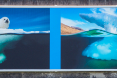 oye23_doku_ausstellung_david_doubilet_9102537