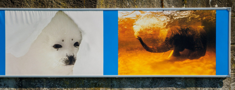 oye23_doku_ausstellung_jennifer_hayes_9102605