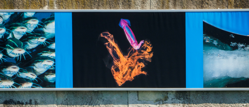 oye23_doku_ausstellung_jennifer_hayes_9102618